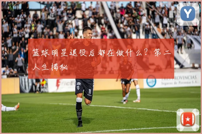 篮球明星退役后都在做什么？第二人生揭秘